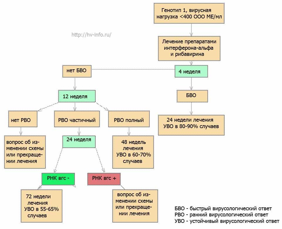 Схема противовирусной терапии гепатита С, генотип 1, низкая виремия.