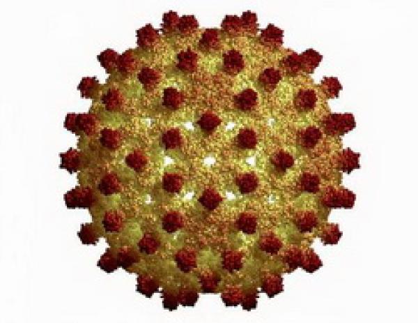 вирусный гепатит в