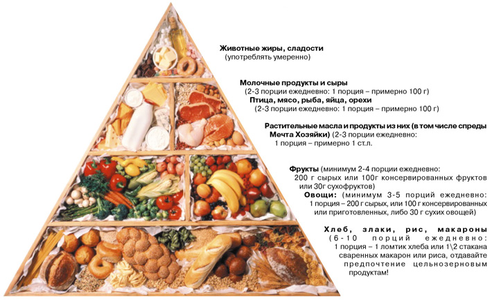 пищевая пирамида