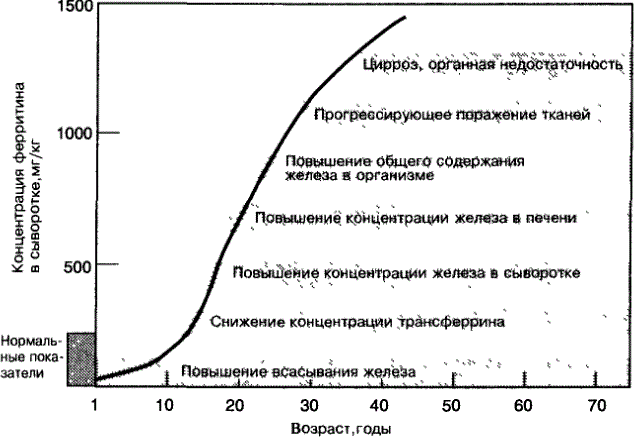 Накопление железа у больных с ИГХ на протяжении их жизни