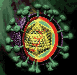 dbhec гепатит G